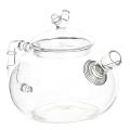 Individual Cute Tea Pots Glass Tea Carafe 600ml Coffee Pots